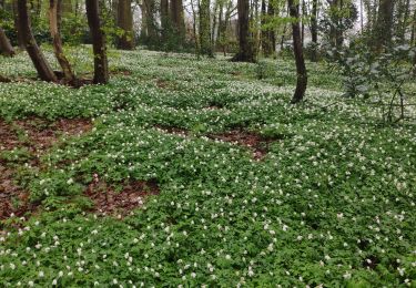 Tour Wandern Namen - jambes 07 04 2022 - Photo