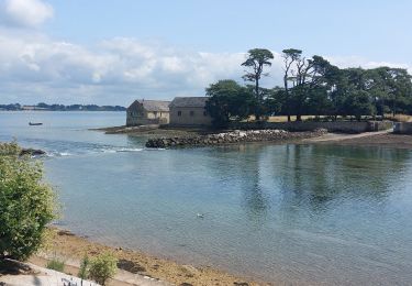 Trail Walking Larmor-Baden - PR_56_Larmor-Baden_BA_02_Tour-De-Berder-Et-Du-Marais_Circuit4a_20240717 - Photo