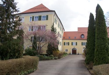 Percorso A piedi Fünfstetten - Rundwanderweg Monheim 15 - Photo