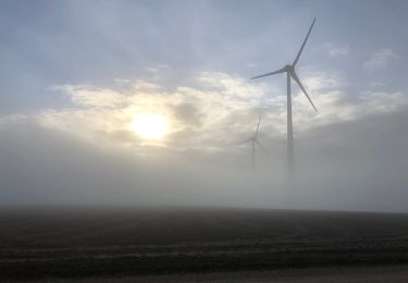 Tocht Stappen Saron-sur-Aube - Boucle Saron les éoliennes  - Photo