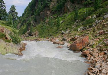 Tour Zu Fuß Gemeinde Neustift im Stubaital - Wilde Wasser Weg - Photo