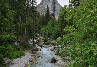 Trail Walking Pralognan-la-Vanoise - Cascade de la Fraîche, Les Fontanettes  - Photo