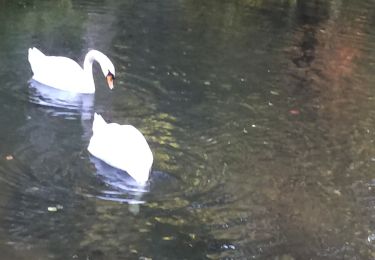 Tour Wandern Uzès - Val d’Eure 27 Oct 2020 - Photo