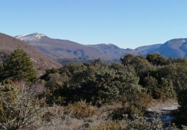 Trail Walking Saint-Léger-du-Ventoux - st léger savoillan  - Photo