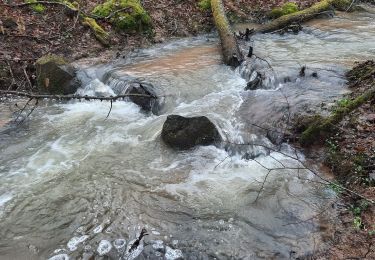 Tour Wandern Montmort - RANDO Montmort Bois Du Nom - Photo