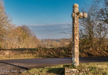 Tour Wandern Bellême - Bellême - Saint-Aubin-des-Grois 12 km - Photo