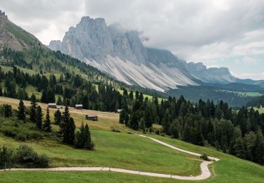 Randonnée A pied Villnöß - Funes - IT-6 - Photo