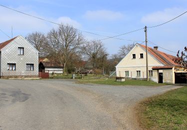 Excursión A pie Mířkov - Naučná stezka Sedmihoří - Photo