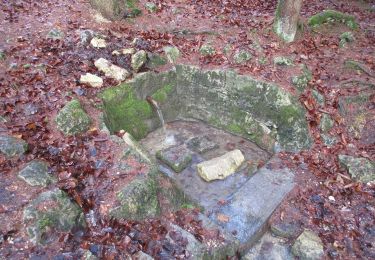 Tour Zu Fuß Monheim - Ein Tag in herrlicher Juralandschaft - Photo