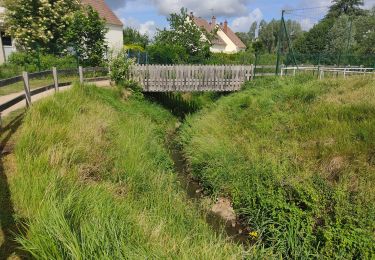 Tocht Stappen La Ville-du-Bois - Le chateau du bel ébat à Marcoussis - Photo