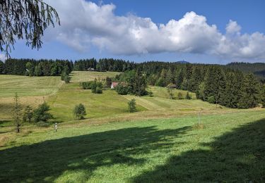 Trail On foot District of Čadca - [Ž] Smutníky - Morávka - Photo