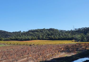 Tour Wandern Flassans-sur-Issole - Flassans sur Issole - Photo