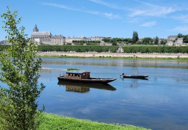 Percorso Marcia Blois - blois - Photo