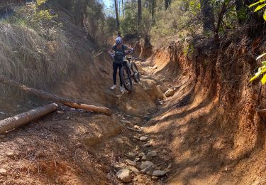 Trail Mountain bike Les Adrets-de-l'Estérel - Esterel 2 : Fait 2022 lac St Cassien depuis Les Adrets retour par lac Lavellan - Photo