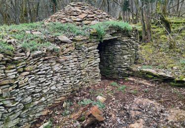 Tour Wandern Monnières - monnieres - Photo
