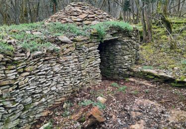 Trail Walking Monnières - monnieres - Photo