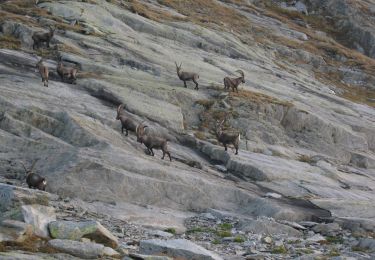 Percorso A piedi Azzone - Sentiero 82 - Variante 82A - Photo