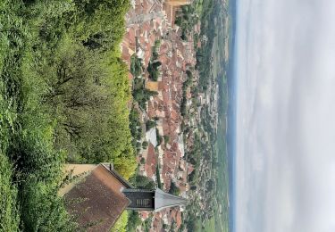 Percorso Marcia Arbois - Arbois Pupillin 18km D+466m 20230805 - Photo