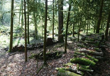 Tocht Stappen Landévant - Locmaria 56 Les Bons Voisins  - Photo