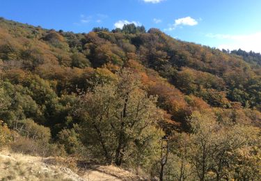 Tocht Stappen Saint-Martial - Martial lougares - Photo