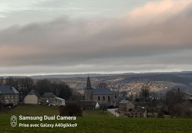 Tocht Stappen Trois-Ponts - GR 5 EN BOUCLE LIEGE TOME 2 rando 29 14km - Photo