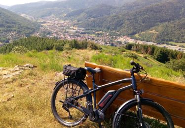 Tocht Elektrische fiets Moosch - Stockenberg - Photo