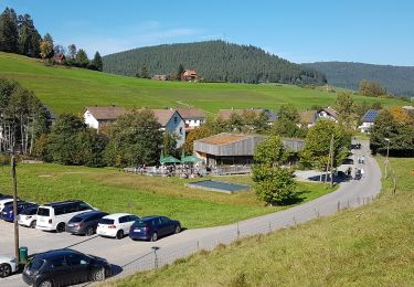 Trail Walking Baiersbronn - Baiersbronn - lac et cascade de Sankenbach - Photo