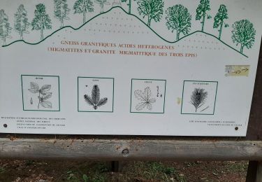 Trail Walking Niedermorschwihr - Alsace 07 06 22 /B - Photo