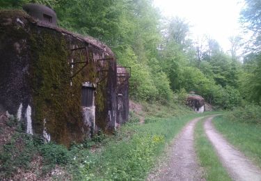 Randonnée Marche Siersthal - Derrière le Legeret - Photo