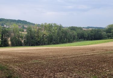 Tocht Stappen Saulny - lorry forèt - Photo