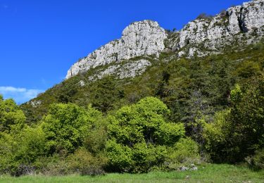 Tour Wandern Andon - Andon - Pk Pont du Loup - Le Castellaras - Château des 4 Tours - Photo