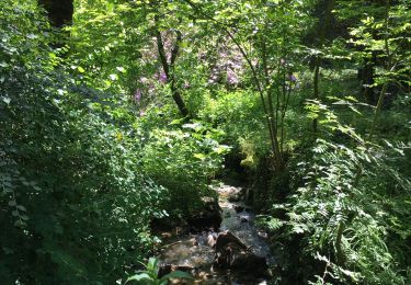 Trail Walking Havelange - Bois, Rivière et champs - Photo