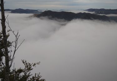 Tocht Stappen Sonthonnax-la-Montagne - Point de vue vallée de l'Ain - Photo