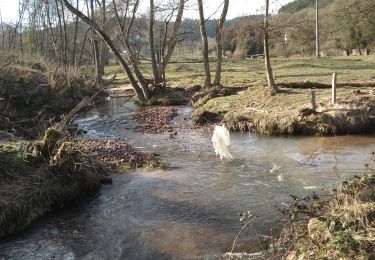 Tocht Te voet Fellen - Roter Hase, Rundwanderweg Fellen - Photo