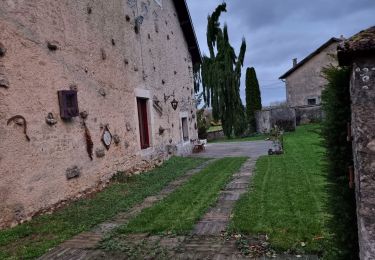 Randonnée Marche Vouthon-Haut - errance dans bois de Vaudeville le - Photo