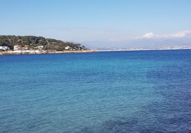 Percorso Marcia Antibes - cap d'antibes - Photo