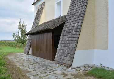 Tocht Te voet Niederneukirchen - Wanderweg 4 Steggraben-Ruprechtshofen - Photo