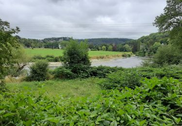 Randonnée Marche Esneux - Esneux  - Photo