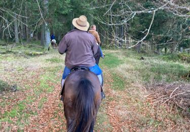 Tour Reiten Plainfaing - Equiplaine delphine joyeux  - Photo