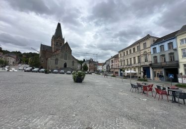 Excursión Senderismo Ninove - Ninove Geraardsbergen 28 km - Photo