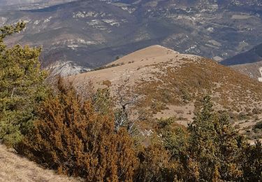 Percorso Marcia Condorcet - cougoir - Photo