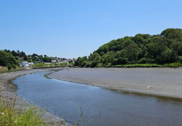 Randonnée Marche Lannion - 2024 RA J4b Bretagne costamoricaine  - Photo