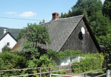 Percorso A piedi Vrbno pod Pradědem - [M] Vrbno pod Pradědem - U Obrázku - Photo