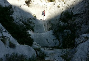 Tocht Stappen Roquevaire - Lascours-Grand Vallon 17/11/2019 - Photo