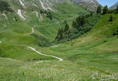 Excursión Senderismo Gemeinde Lech - Boucle à décrire  - Photo