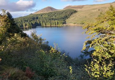 Trail Walking Saulzet-le-Froid - Lac de Guery - Puy Gros - Photo