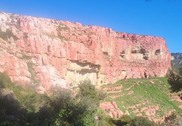 Randonnée Marche Allauch - Notre Dame des Anges - Photo