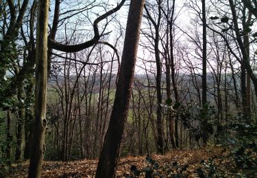 Tocht Mountainbike Saint-Senoux - st senoux - Photo