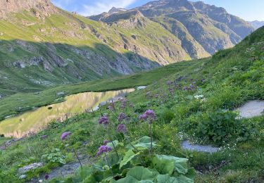 Percorso Marcia Valgrisenche - 7 Refuge Bezzi Col du rocher blanc (Col Vaudet) 2882 m Le Monal  Ste Foy 650 m -1400 m - Photo