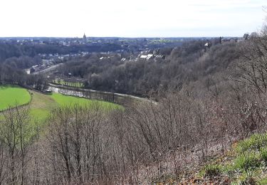 Tour Wandern Thuin - Martiens Thuin 16 03 23 - Photo